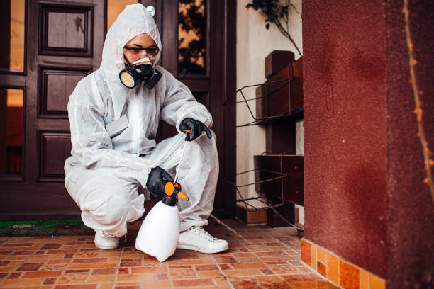 Reliable Wasp Removal contractor in West Berlin, NJ by Show Me Pest Control
